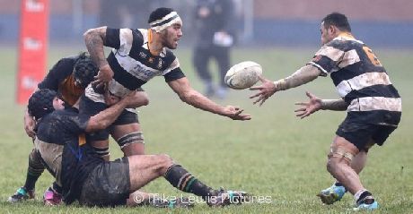 Jubilee Cup and Hardham Cup semi-finals previews